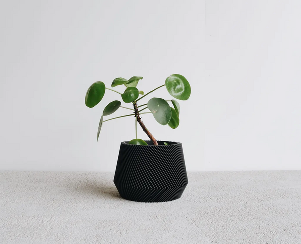 Oslo Indoor Planter