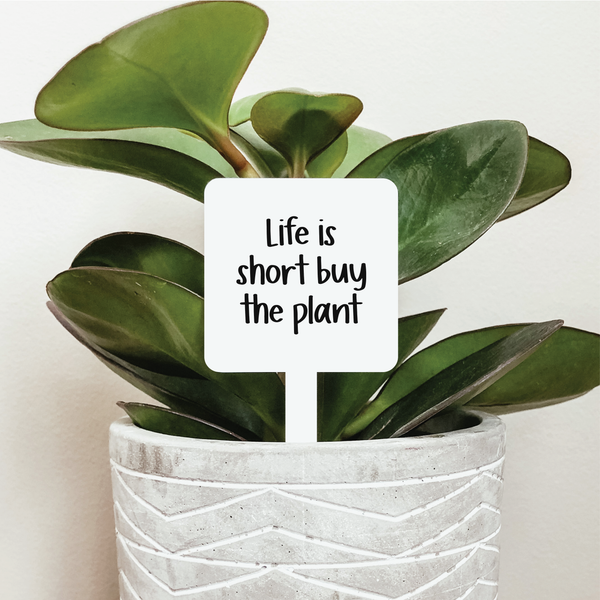 Life Is Short Buy The Plant Plant Stake