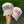 Sorry About My Boyfriend Hat