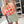 The Cruel Olive Skort