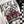 Muscle Car Graphic