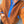 Camel + Blue Sherpa Pullover