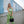 Clarkston Straight Leg Jumpsuit