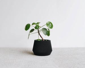 Argon Indoor Planter - The Rack Boutique ⚡️