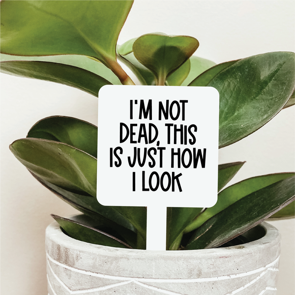 I'm Not Dead This Is Just How I Look Plant Marker