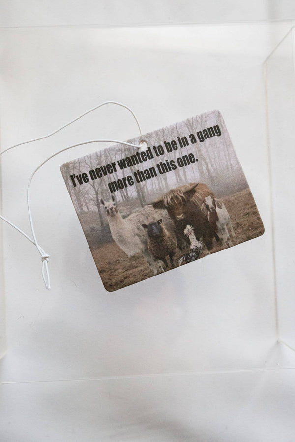 Gang Air Freshener