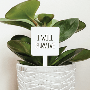 I Will Survive Plant Marker - The Rack Boutique ⚡️