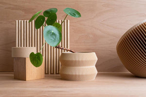 Indoor Planter [ Natural ] - The Rack Boutique ⚡️