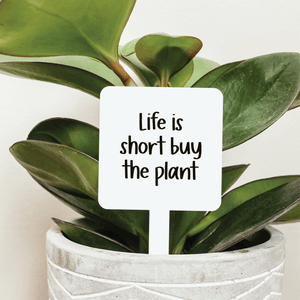 Life Is Short Buy The Plant Plant Stake - The Rack Boutique ⚡️