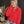 Neo Red Confetti Sweater - The Rack Boutique ⚡️